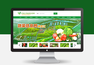 黑龙江省蔬菜信息网